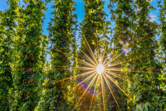 Kurt-Karakasch-exp_24.-August-2025_R5M24316